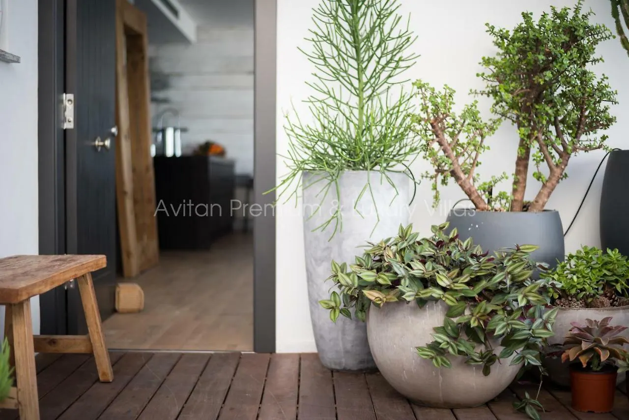 Avitan Premium & Luxury Villas Costa Adeje  Spain